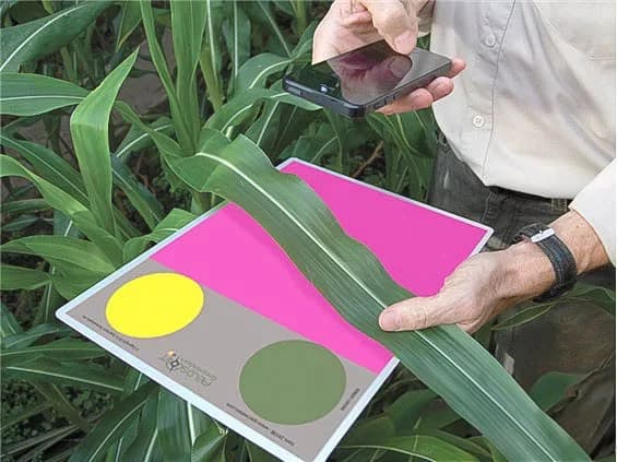 FieldScout GreenIndex + – Nitrogénkijuttatás okosan, egyszerűen, okostelefonnal