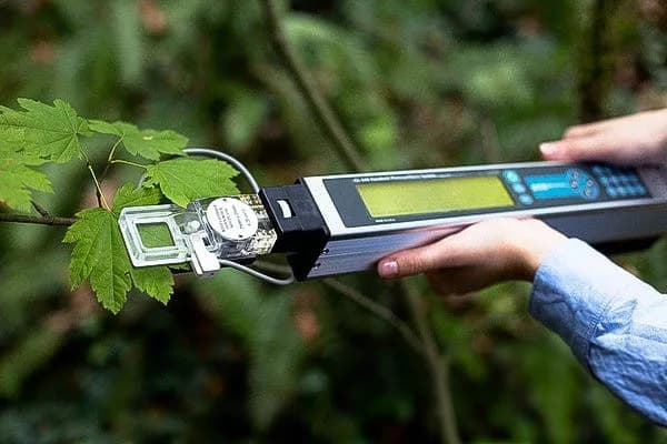 CI-340 kézi fotoszintézis mérő – gázcsere, sztóma, transzspiráció: minden egy kézben