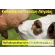 RHB-32SG ATC Kolosztrum refraktométer – biztos kezdet a borjúnevelésben